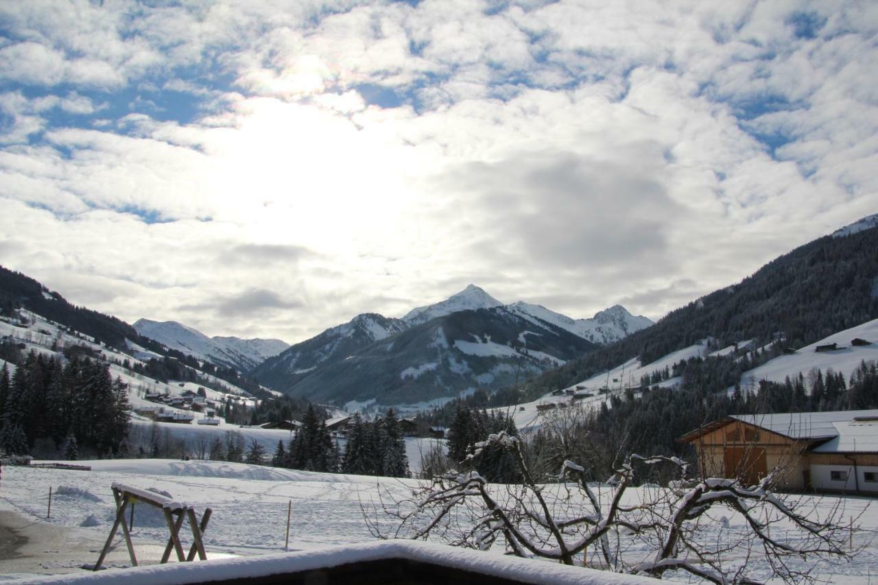 Moahof Διαμέρισμα Alpbach Εξωτερικό φωτογραφία
