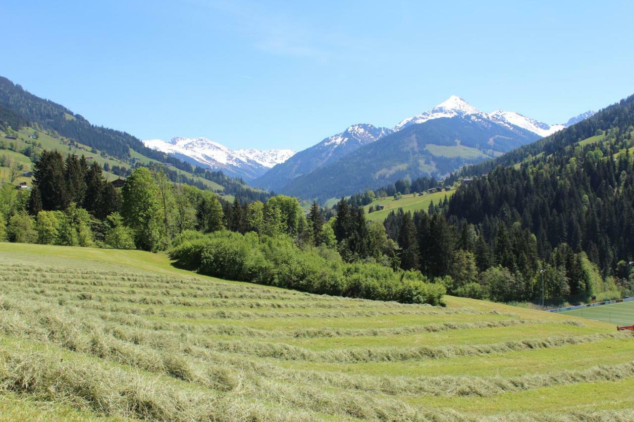 Moahof Διαμέρισμα Alpbach Εξωτερικό φωτογραφία