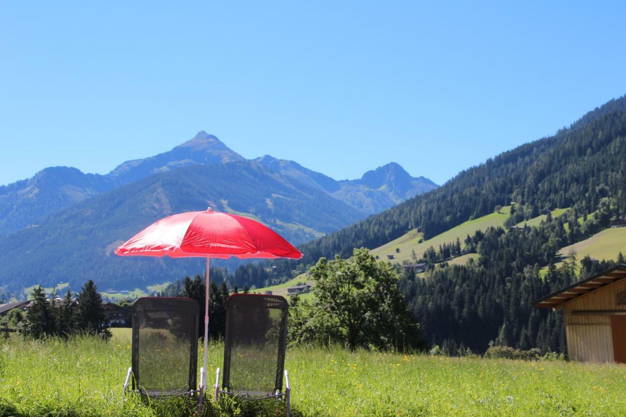 Moahof Διαμέρισμα Alpbach Εξωτερικό φωτογραφία